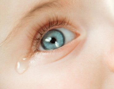 imagem-9754