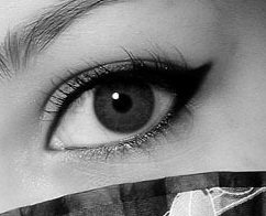 imagem-2863