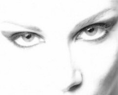 imagem-3910