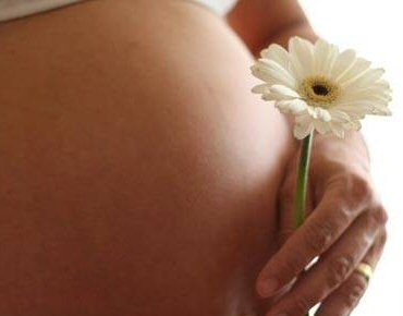 imagem-9583
